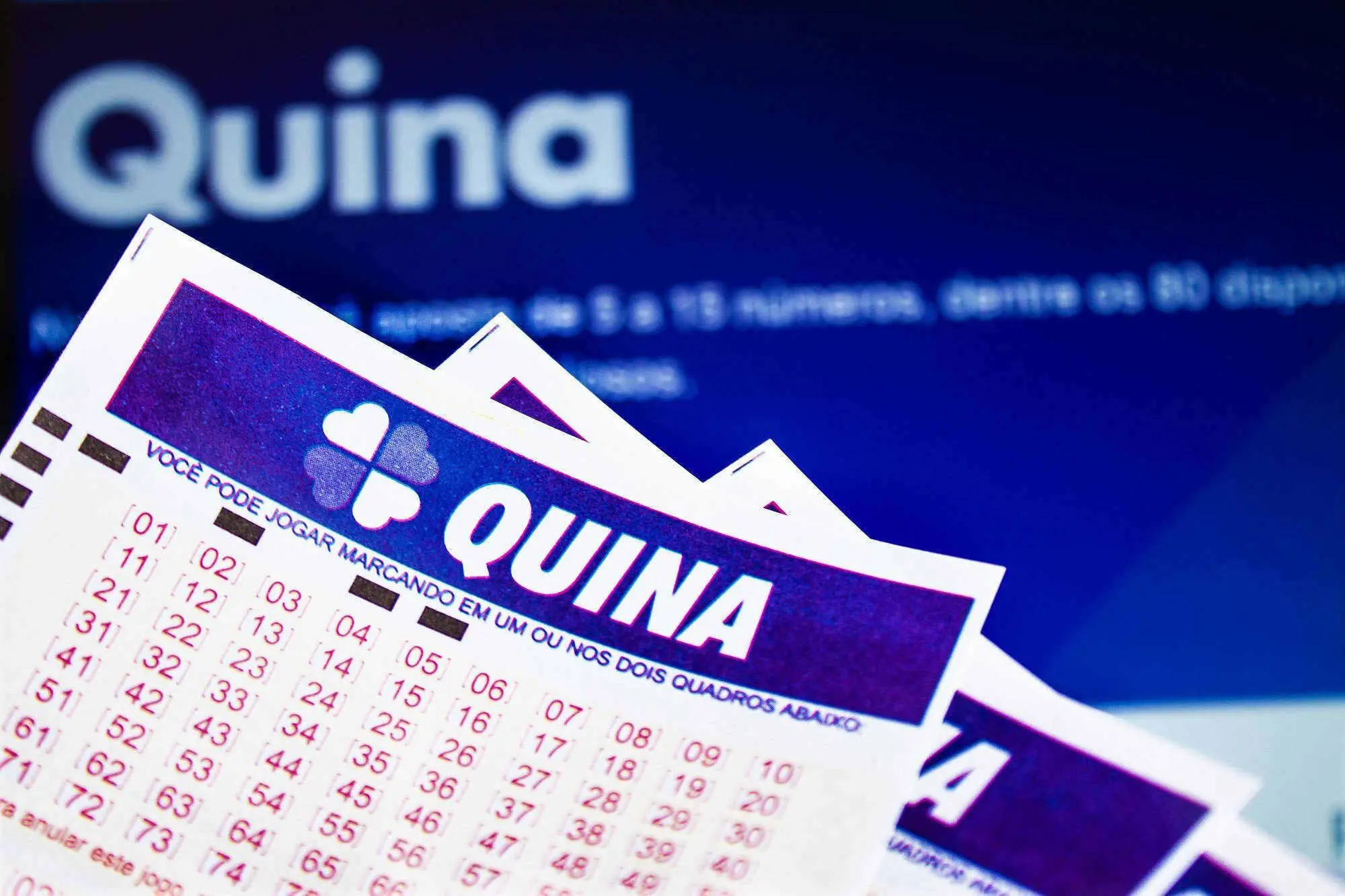 Quina de hoje concurso 5415 - A imagem mostra alguns volantes da Quina