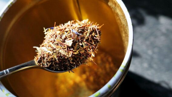 4 Banhos de Ervas que você precisa aprender a fazer