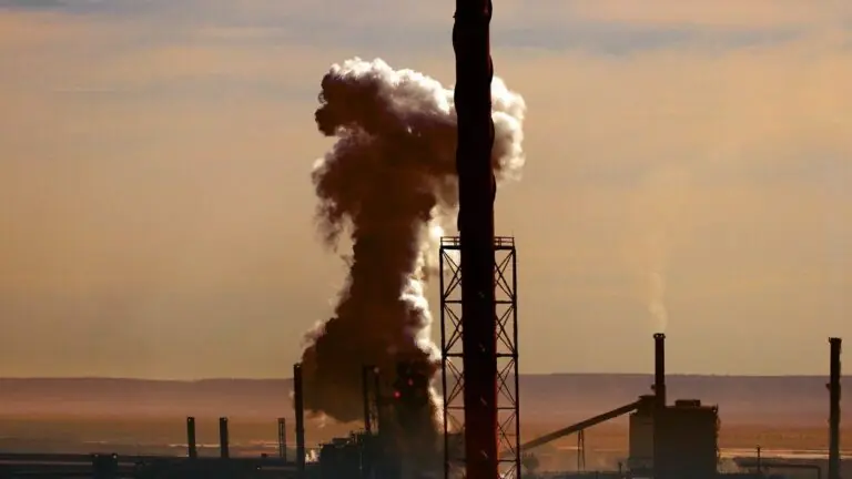 ONU pede “estado de emergência climática” a todos os países