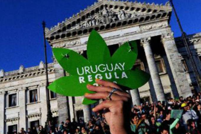 Maconha legalizada - Uruguai