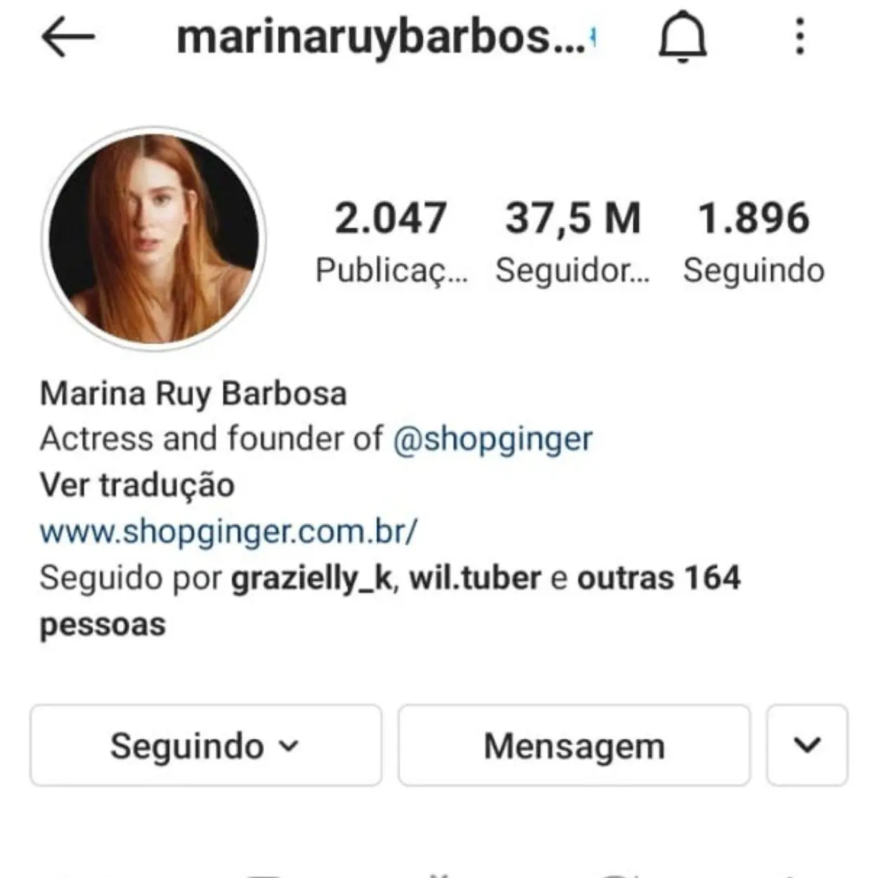Brasileiros mais seguidos no Instagram Marina
