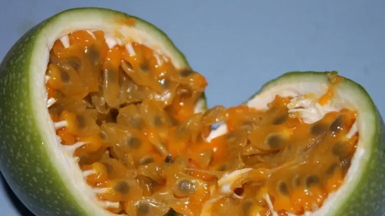 Chá de maracujá: 3 receitas para controlar ansiedade e estresse