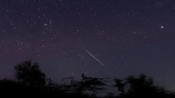 Chuva de meteoros Geminídeas chega ao ápice hoje à noite
