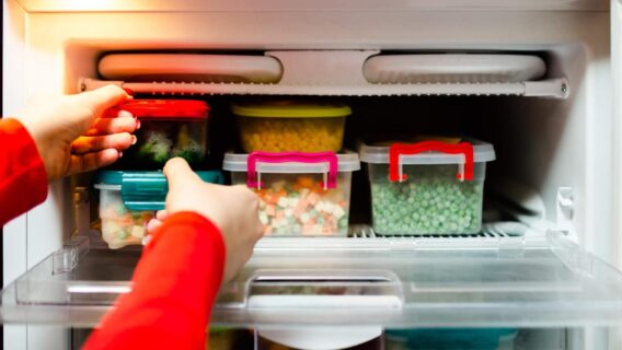 Conservar alimentos: dicas importantes para evitar o desperdício