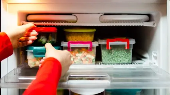 Conservar alimentos: dicas importantes para evitar o desperdício