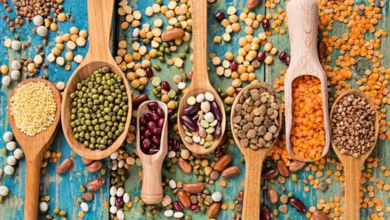 Consumo de proteína: como se manter saudável em uma dieta sem carne?