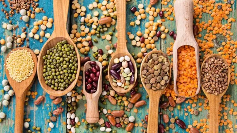 Consumo de proteína: como se manter saudável em uma dieta sem carne?