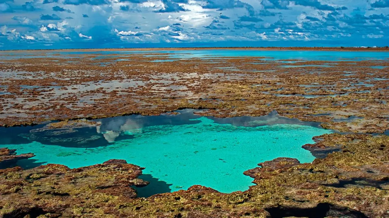 Imagem de Ilha Atol das Rocas
