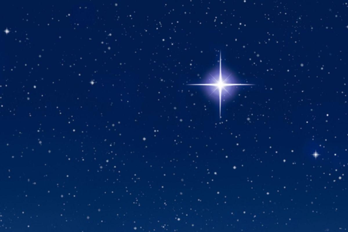 Estrela de Natal