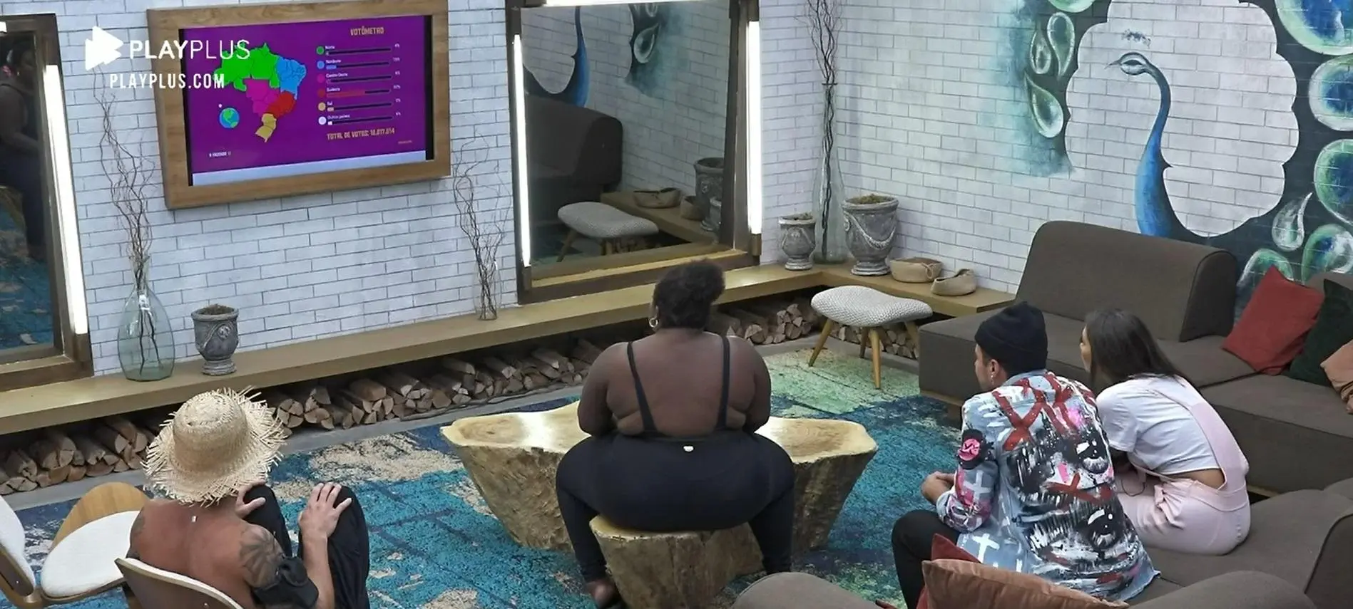 Imagem dos participantes de A Fazenda 12