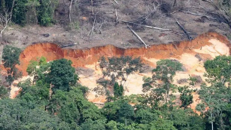 Brasil fica de fora de cúpula da ONU em evento sobre reações climáticas