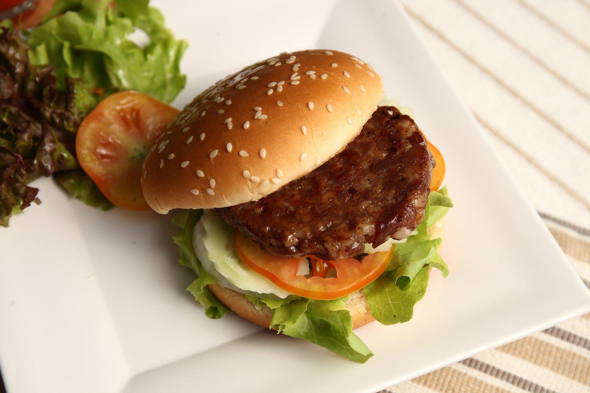Imagem mostra foto de hambúrguer