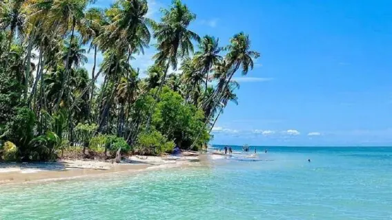 Ilha de Boipeba: melhores passeios no destino queridinho do momento