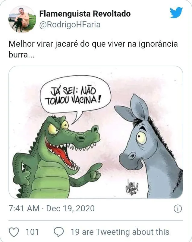 10 melhores memes após declaração de Bolsonaro