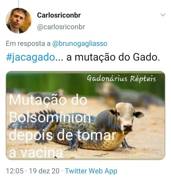 Veja os melhores memes da declaração do presidente
