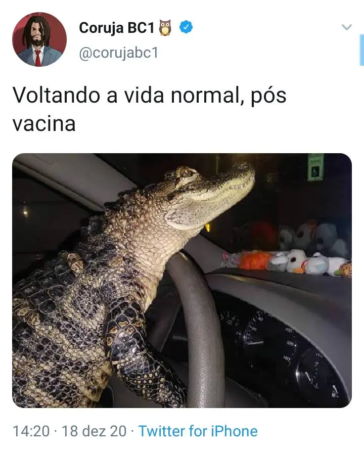 Memes viralizam após declaração de Bolsonaro sobre vacina contra Covid-19