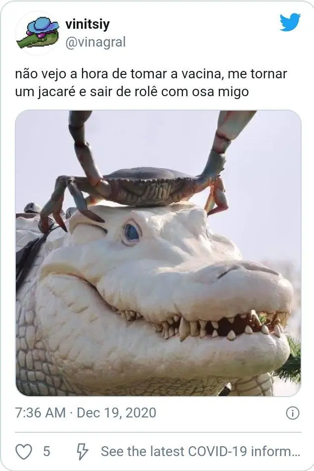 Veja os melhores memes após fala do presidente