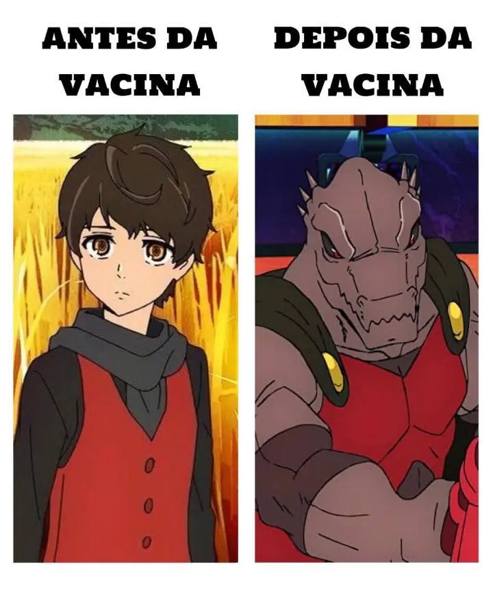 Veja os memes pós declaração de Bolsonaro