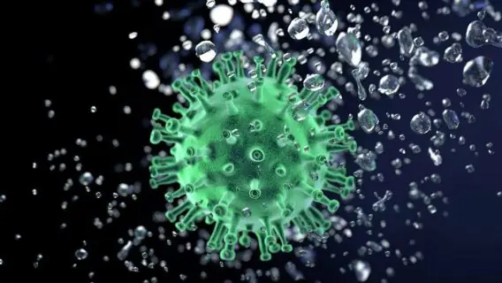 OMS confirma que nova mutação da covid-19 é mais infecciosa