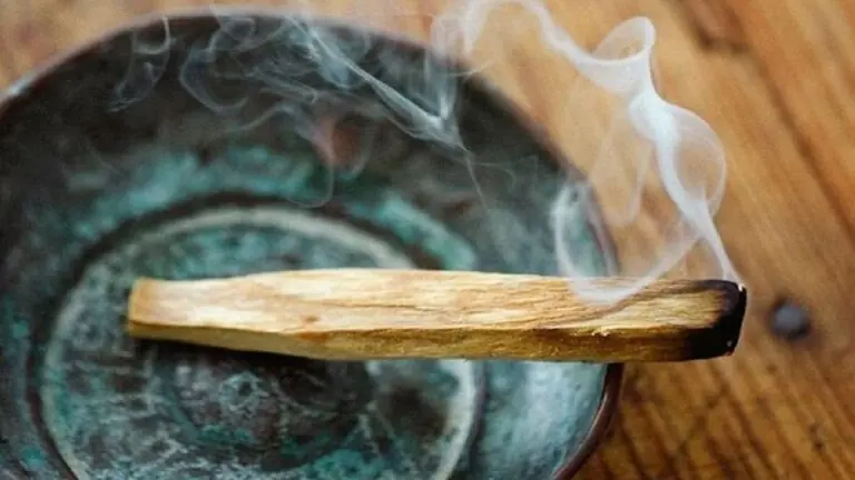 Palo Santo: descubra o que é e como usar para limpar energias negativas