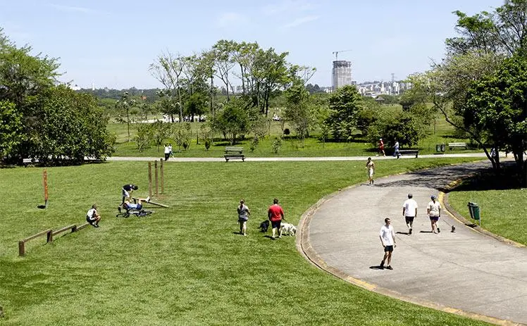 Parques São Paulo - Villa Lobos