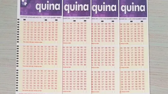 Quina 5442: prêmio acumulado de R$ 4,4 milhões pode sair hoje (15/12/20); veja como jogar