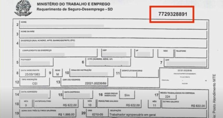 Seguro-desemprego: como conseguir o número do requerimento?