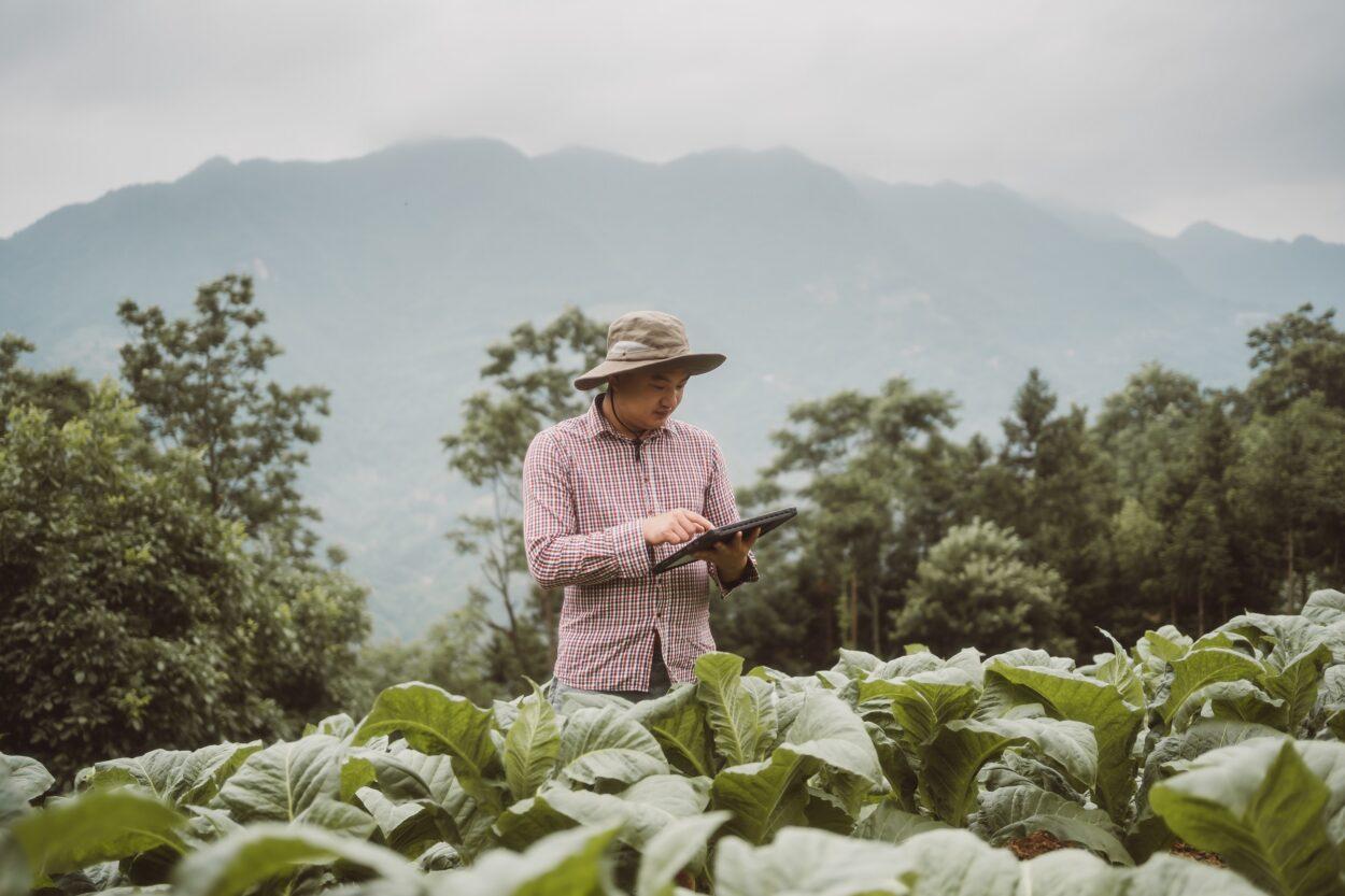 produção rural; seguro rural