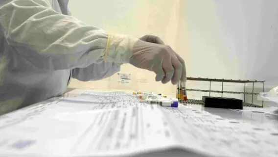 H1N2: transmissão e sintomas do novo vírus detectado no Brasil