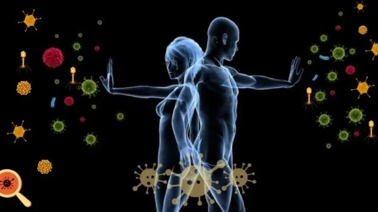 Sistema imune: conheça os nutrientes essenciais para proteger o organismo