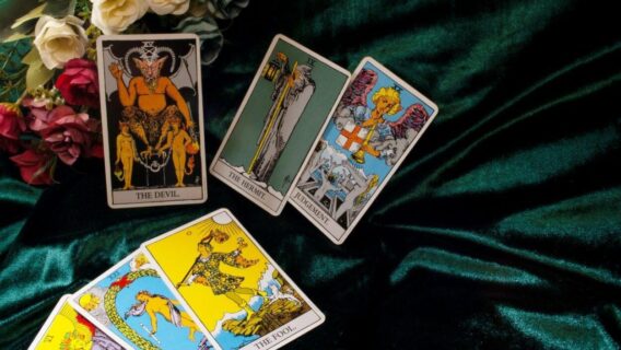 Carta do Urso no Tarot: Significados e Interpretações