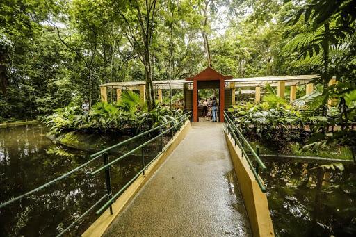 Nossa senhora da conceição recife - jardim botanico