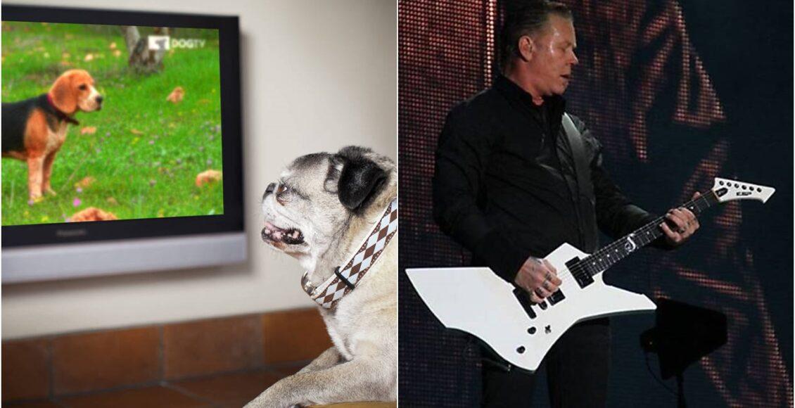 Imagem da programação da virada do ano na tv
