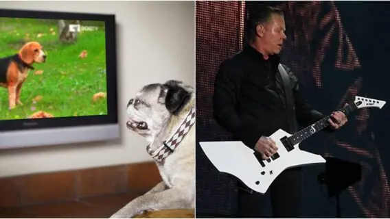 Virada do ano na TV (31/12): veja as atrações para assistir em casa