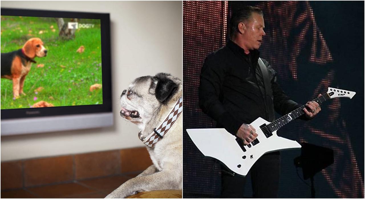 Imagem da programação da virada do ano na tv