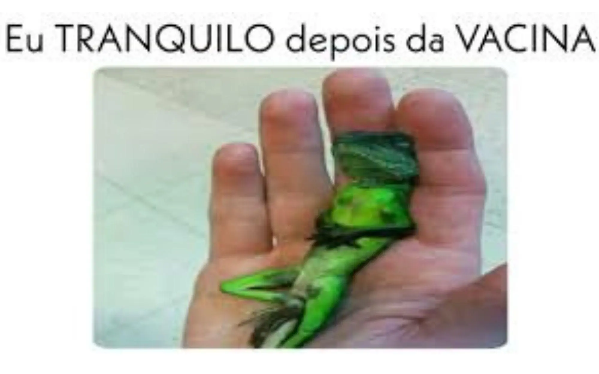 músicas vacina meme jacaré
