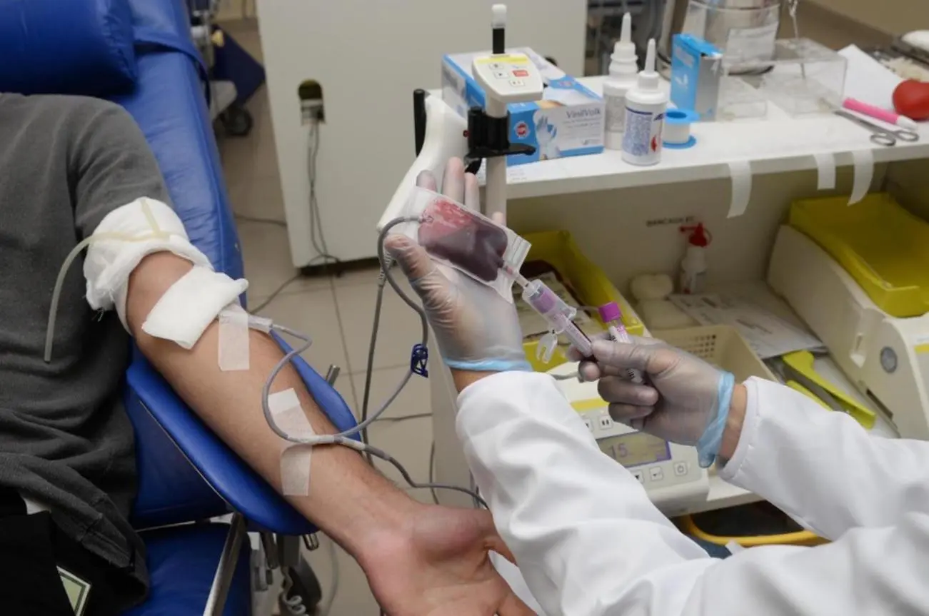 onde doar sangue em sp