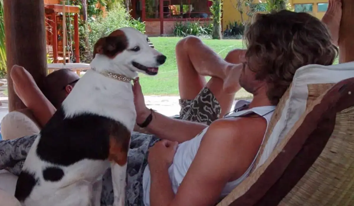 Imagem mostra Molly primeira cachorinha do BBB