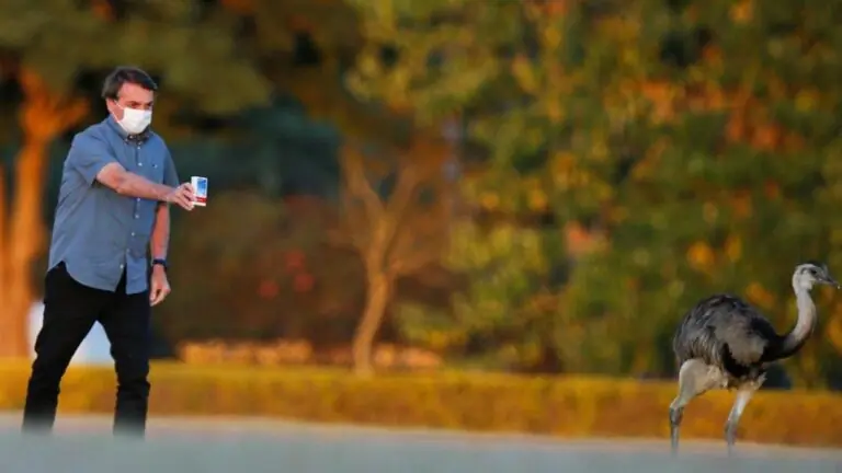 Bolsonaro é acusado de apagar publicações ‘pró-cloroquina’