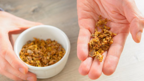 Própolis pode reduzir tempo de internação por COVID-19, diz estudo