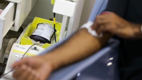 Onde doar sangue em SP? Veja endereços e requisitos para doação