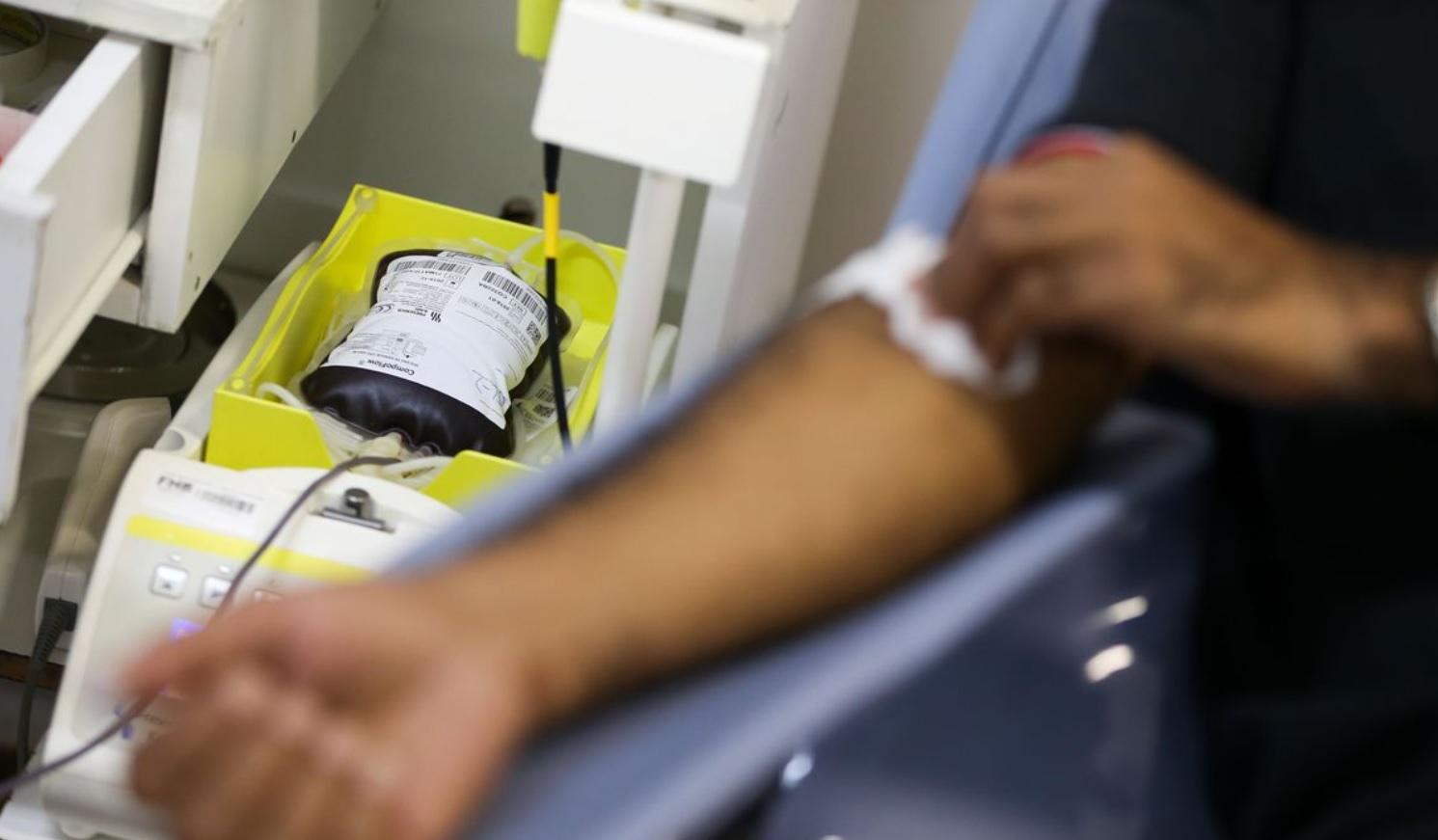 onde doar sangue em sp