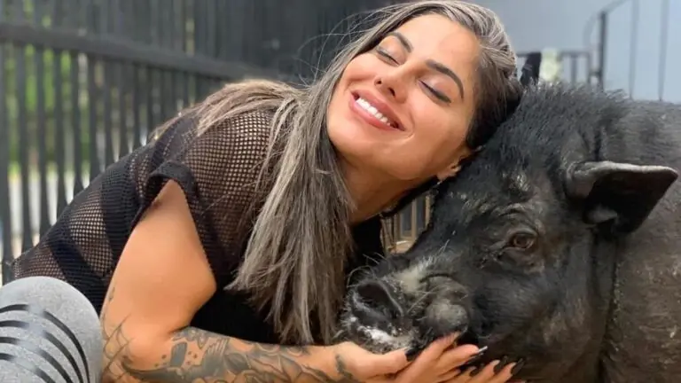 Ex-BBB Vanessa Mesquita processa ex-sócia; entenda a briga