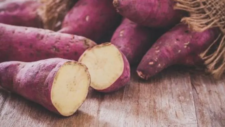 Batata doce: conheça 7 benefícios especiais do alimento  