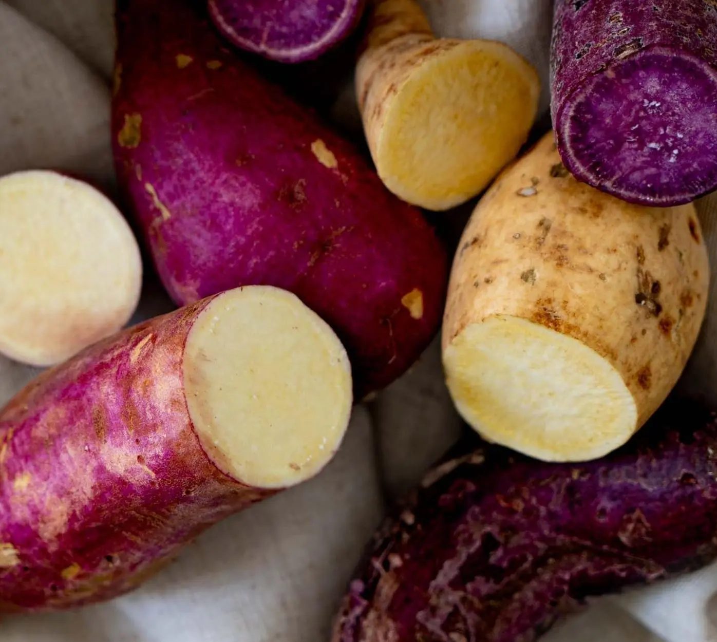 benefícios do tubérculo