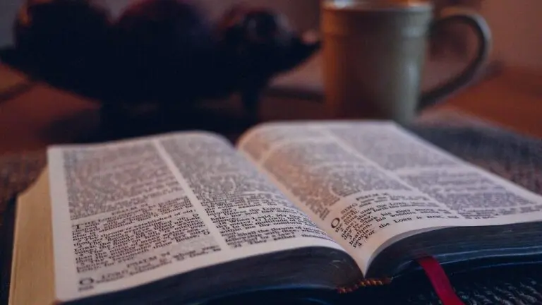 Versículo do dia (27/01/2021): faça a leitura de hoje