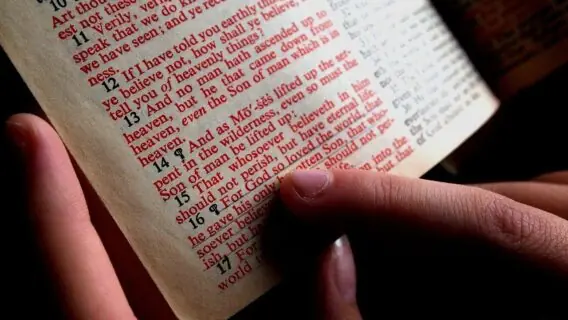 Versículo do dia (29/01/2021): faça a leitura de hoje