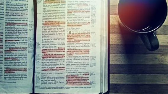 Salmo do dia (29/01/2021): leitura de proteção divina