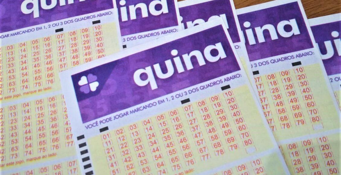 resultado da quina - a imagem contém diversos bilhetes da quina em branco