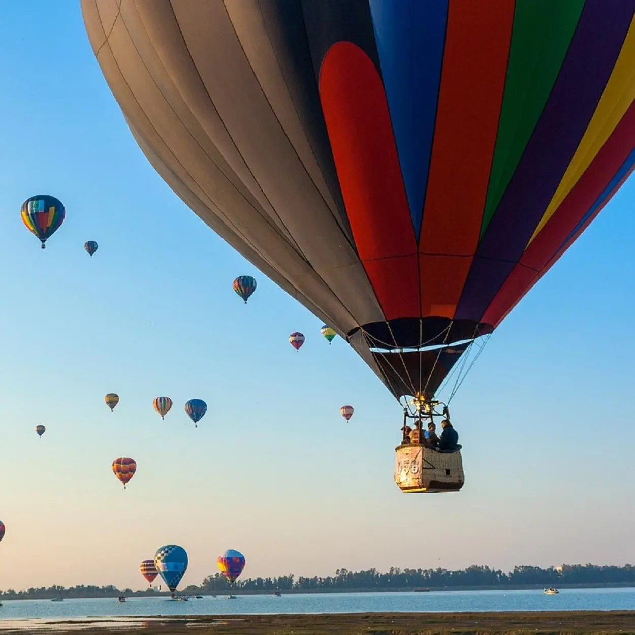 Presente para bodas de algodão